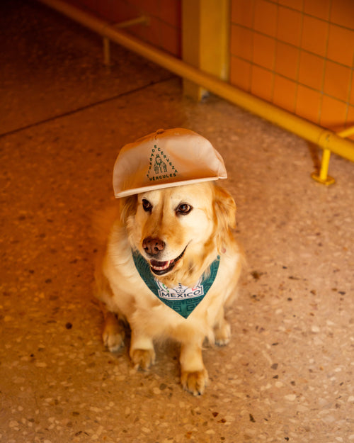 Gorra - Tienda de Cervezas Hércules - Color Hueso